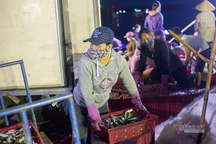 Vung xanh binh yen, cang ca lon nhat TT-Hue tap nap giua mua dich-Hinh-6