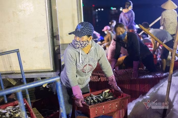 Vung xanh binh yen, cang ca lon nhat TT-Hue tap nap giua mua dich-Hinh-6