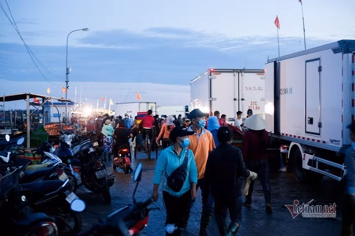 Vung xanh binh yen, cang ca lon nhat TT-Hue tap nap giua mua dich-Hinh-10