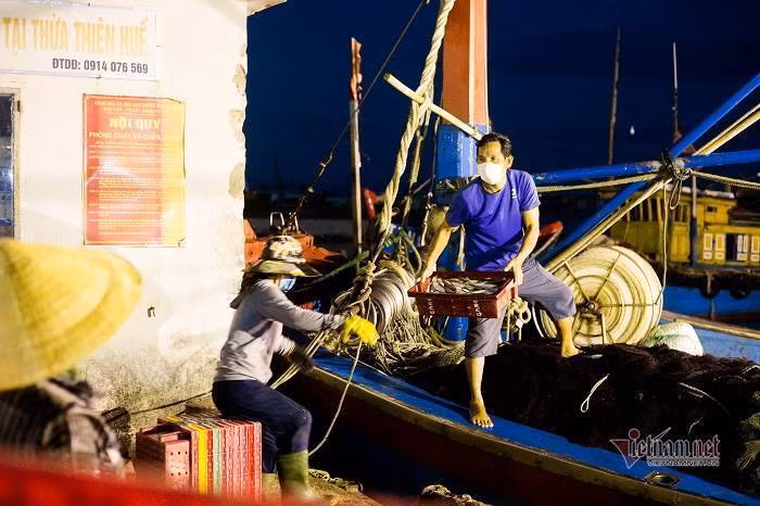 Vung xanh binh yen, cang ca lon nhat TT-Hue tap nap giua mua dich