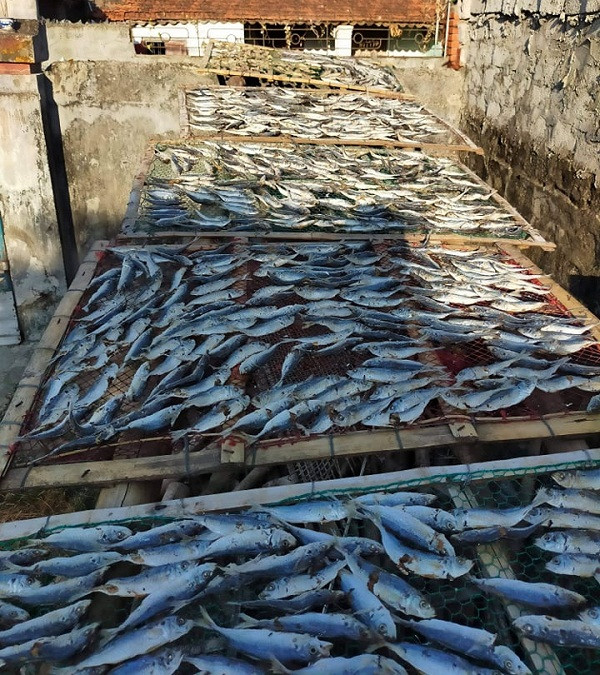 Ba me tre co quyet dinh bat ngo giup song khoe giua dich-Hinh-3