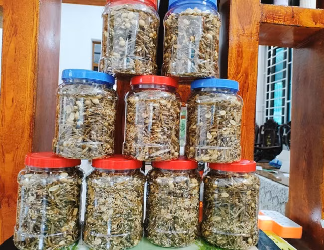 Ba me tre co quyet dinh bat ngo giup song khoe giua dich-Hinh-4