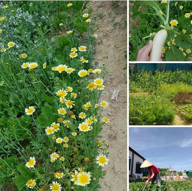 Ba me tre co quyet dinh bat ngo giup song khoe giua dich