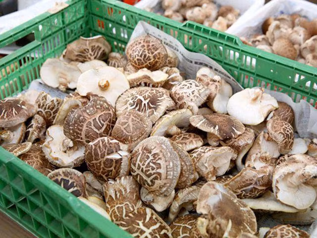 Nam huong Nhat hon 8 trieu dong/kg, dan Ha Noi mua ve xao rau-Hinh-5