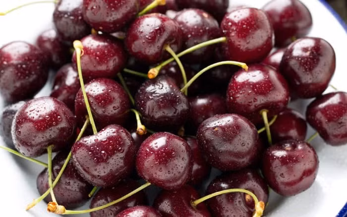  Giá quả anh đào không hề rẻ, màu sắc tươi tắn, đậm chất lễ hội, tuy nhiên không nên ăn quá nhiều mà có thể ăn một chút. Bạn có thể đặt loại quả này trong nhà trong dịp năm mới vì chúng mang lại sự thịnh vượng và suôn sẻ, ngụ ý sự tốt lành và niềm vui. 