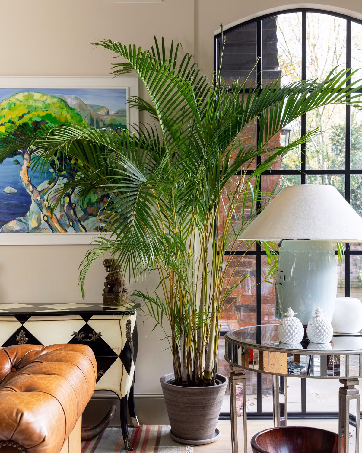  Cây cảnh này có những chiếc lá rất đẹp, giống đuôi phượng, có thể làm cho không khí trong nhà ẩm ướt, trong lành và trong lành. Ngoài việc vươn lên vững vàng, cây cảnh này còn mang ý nghĩa hòa bình êm ả, đoàn kết và tươi đẹp, giàu sang thịnh vượng…