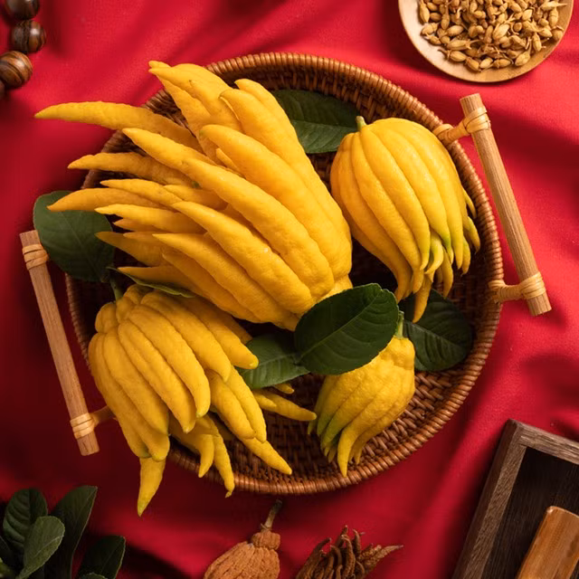 Tet trung 3 loai cay trong nha, gia chu loc ve toi tap