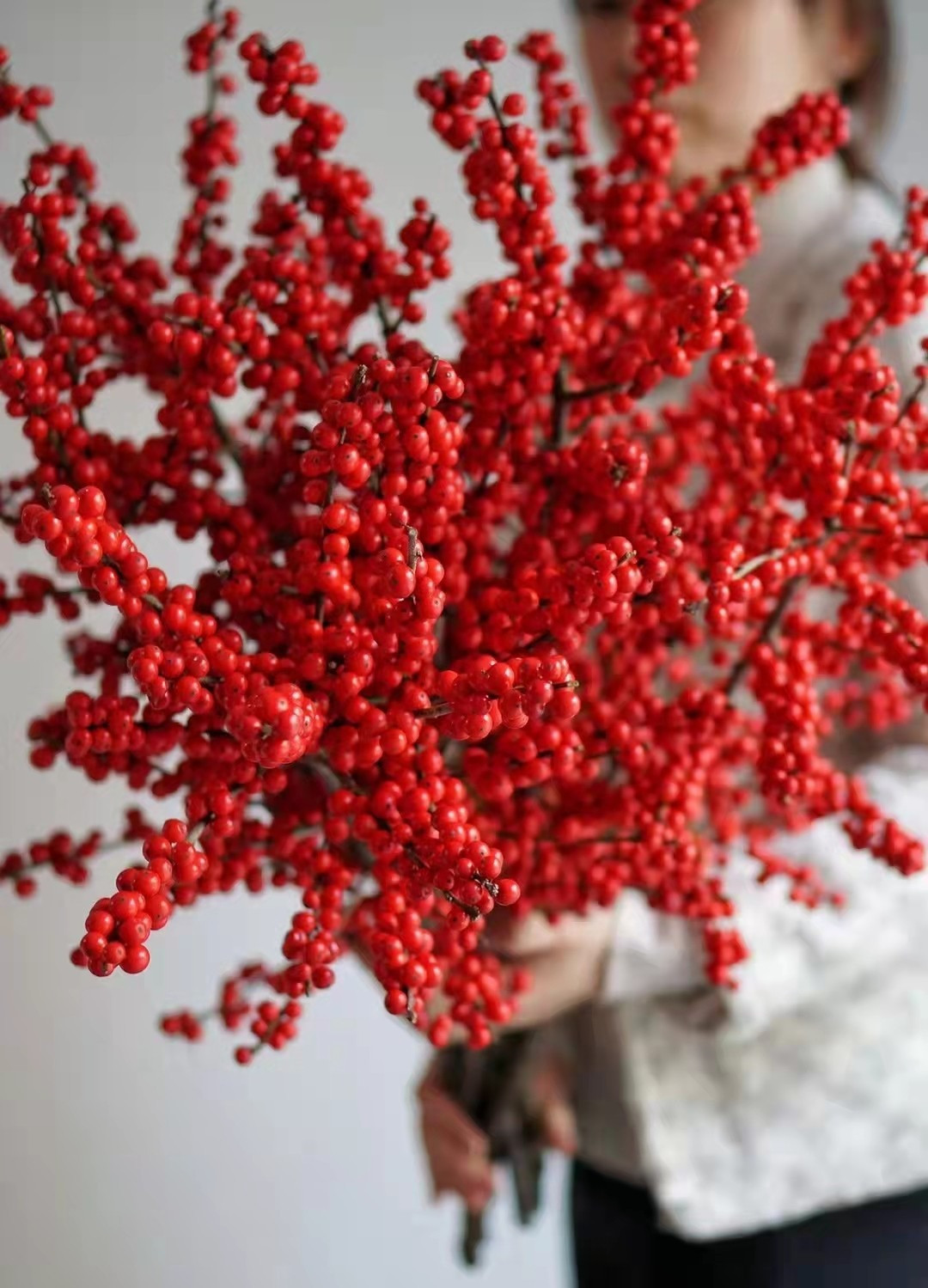  Đào đông có thể xem là cây cảnh, loài hoa cắt cành "quý tộc" giữa rừng hoa Tết rực rỡ. Hàng chục quả màu đỏ như mã não có thể treo trên một cành. Khi cắm vào bình, nó ngay lập tức trông cao cấp và hoành tráng, mang không khí lễ hội vui vẻ, may mắn vào nhà. Bạn có thể ngắm bình quả này từ 1-2 tháng mới khô héo. 