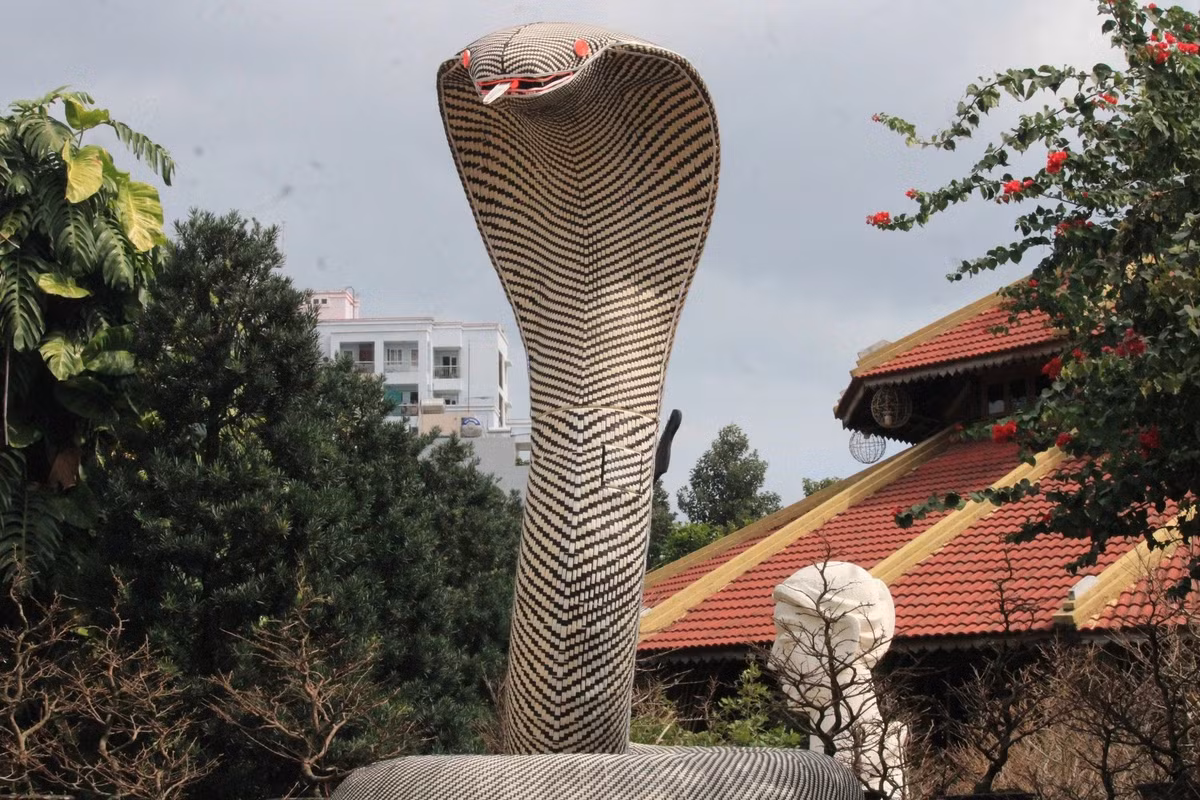 Linh vật rắn cao 4,5 m ở làng nghề Trường Sơn (Nha Trang) được gắn thêm đèn. Bên trong linh vật có khuôn nhôm, bên ngoài là sợi thủy tinh từ nhựa nguyên sinh.