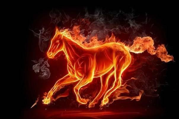  Đối với họ, cuộc sống không có gì thú vị nếu không có sự thay đổi và những thử nghiệm mới. Chính vì vậy, con giáp tuổi Ngọ thường rất thích tham gia vào các hoạt động thể thao, du lịch, và những công việc mang tính sáng tạo hoặc mạo hiểm.