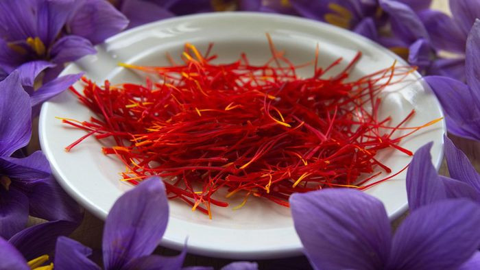 Saffron không chỉ là một loại gia vị đắt đỏ, mà còn có nhiều tác dụng tốt cho sức khỏe bởi giàu chất chống oxy hóa, giúp chống lại tổn thương tế bào, có thể ngăn chặn ung thư và nhiều bệnh khác.