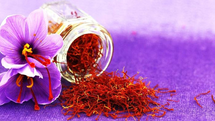 Ngoài ra, hoa nghệ tây chỉ nở một tuần trong năm và chỉ có 3 sợi nhụy dùng được trên mỗi bông.