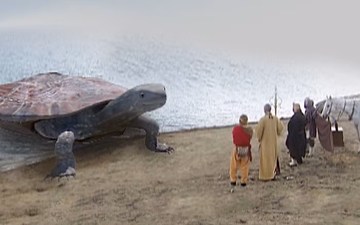 Các nhà cổ sinh vật học phân tích lý do loài rùa này có kích thước lớn là để tự vệ trước những kẻ săn mồi nguy hiểm thời cổ đại. Được biết, thiên địch của chúng là cá sấu Purussaurus vì trên hóa thạch của chúng phát hiện nhiều vết cắn của loài cá sấu này.