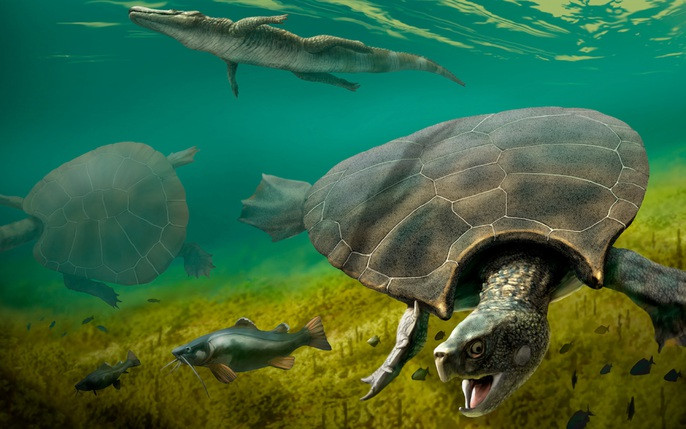 Sau này khi trở về, vì quên mất lời nhờ vả của Lão Rùa mà cả 4 thầy trò bị Lão Rùa bị hất xuống sông khiến cho kinh thư ướt hết, đây cũng là kiếp nạn cuối cùng của họ.