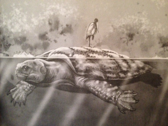 Lão chỉ có một lời nhờ vả duy nhất đó là khi 4 thầy trò gặp được Phật Tổ thì hỏi giúp "là tu đã một ngàn ba trăm năm mà chưa đặng hóa hình người, tuy là biết nói và sống lâu, song chưa thoát kiếp! Xin thầy làm ơn bạch quá Phật Tổ, coi bao giờ tôi đặng thành người" - trích lời của Lão Rùa.