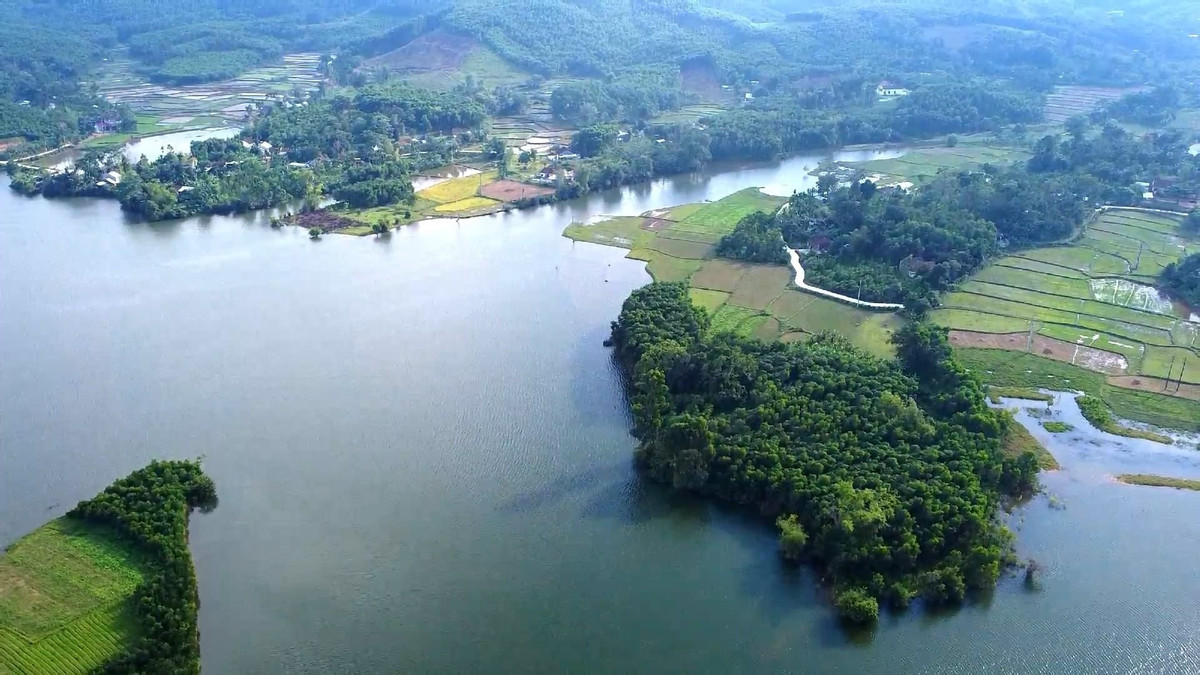 Truyền thuyết kỳ bí về cây đầu gành gần 700 tuổi ở Quảng Nam - Hình 2 Truyen thuyet ky bi ve cay dau ganh gan 700 tuoi o Quang Nam-Hinh-2