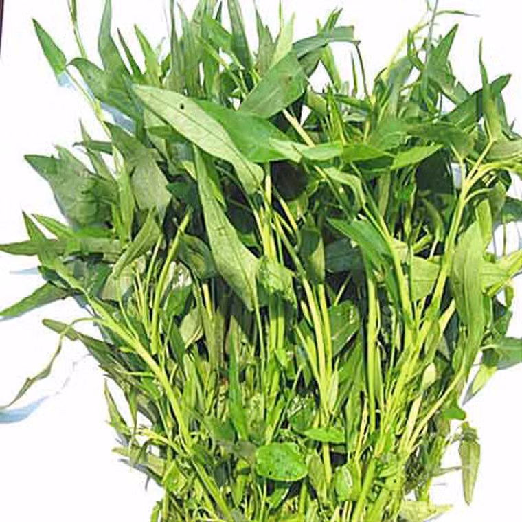 Trái lại, thu hoạch rau quá già sẽ khiến chúng có nhiều chất xơ khiến món ăn trở nên cứng và hao tổn chất lượng rau.