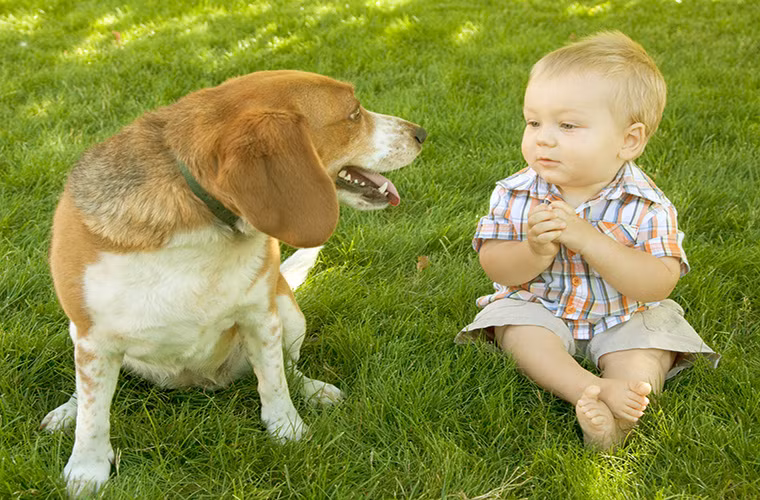 ..hoặc cùng trò chuyện