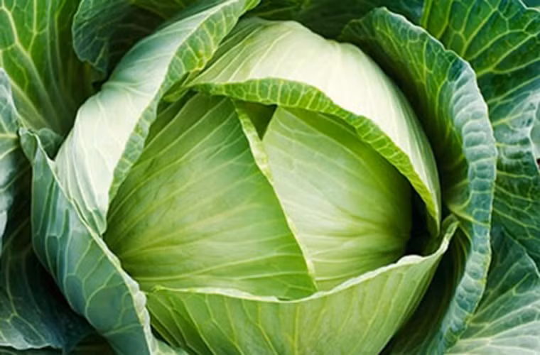 Sử dụng phần lá ngoài của các loại rau cuộn như bắp cải, rau diếp. Bạn chỉ nên bỏ chúng đi khi bị héo úa hoặc sâu bệnh.