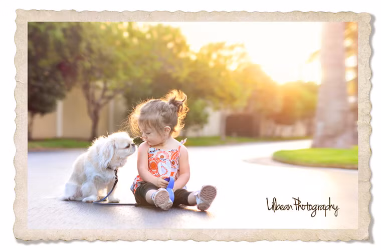 hoặc đơn giản là cùng sưởi nắng