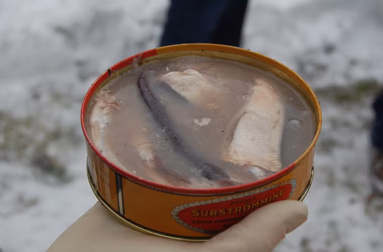 Khi mang cá về, người ta đựng nó trong thùng lạnh vài tháng rồi mới lên men trong những chiếc lon nhỏ một năm.