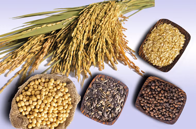 Chế độ ăn giàu ngũ cốc, đậu nành, rau và các loại hoa quả tươi cũng rất được khuyến khích cho các đối tượng chịu sự phiền toái của viêm tiền liệt tuyến.