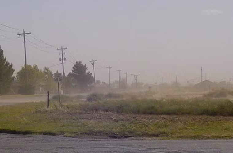 Loại nấm này phát triển cực mạnh trong đất sau khi mưa lớn. Sau đó, phát tán vào không khí trong điều kiện thời tiết nóng và khô. Rất khó có thể loại bỏ hoàn toàn nguy cơ hít phải nấm độc, nhưng việc sống trong các khu vực bụi bặm có nguy cơ cao hơn cả.