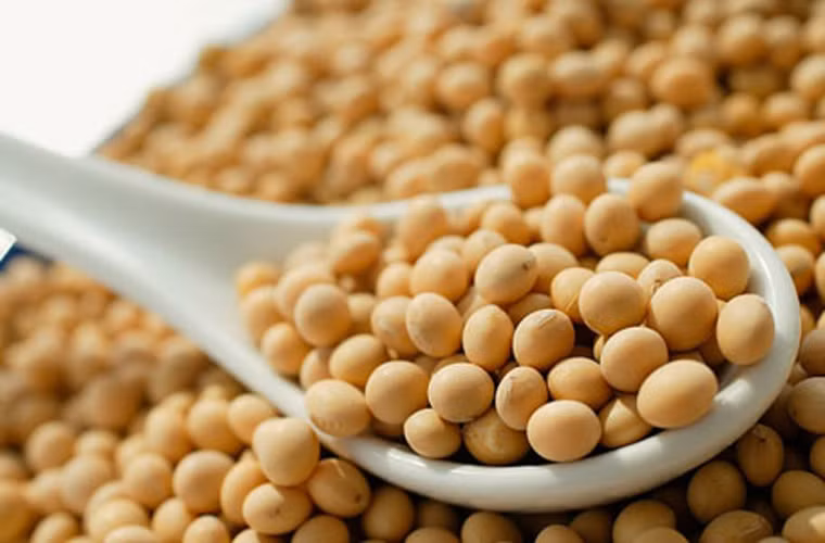 12. Uống trà xanh. Mỗi tách trà xanh mỗi ngày sẽ cung cấp cho cơ thể lượng chất chống oxy hóa hữu ích để tăng cường khả năng ngăn ngừa ung thư nói chung.