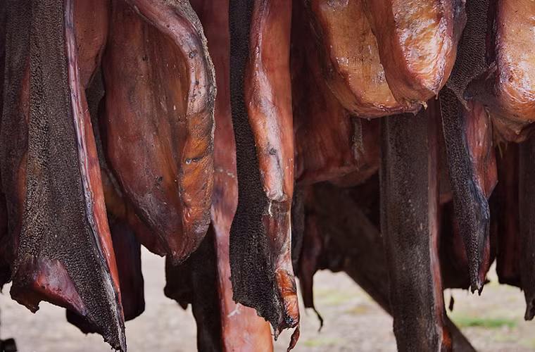 Thông thường, thịt cá mập được treo trong nhà kho, tránh ánh nắng mặt trời, phơi khô từ 2 - 4 tháng. Gió sẽ thổi đi mùi hương khó chịu và làm cho lớp bên ngoài thịt có màu nâu.