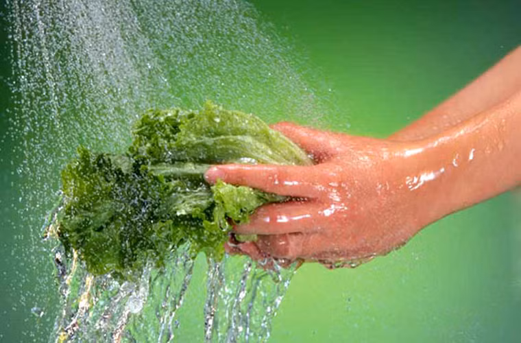 Cố gắng rửa thật sạch bằng nhiều nước hoặc bình sục ozon chứ không nên gọt vỏ.