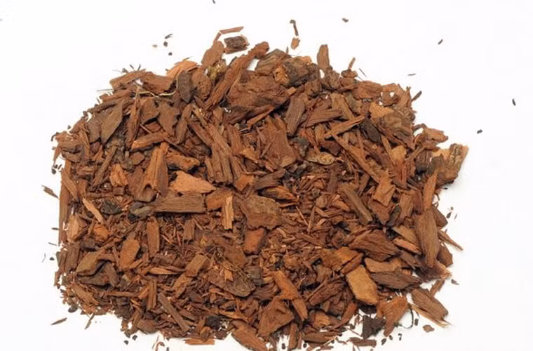 Tận dụng thảo mộc. Saw palmetto và pygium là hai thảo dược được áp dụng phổ biến cho bệnh nhân ung thư tiền liệt tuyến. Bên cạnh đó, trà xanh cũng được các bác sĩ khuyến khích sử dụng. Đây là loại nguyên liệu dễ kiếm, giá rẻ nên mọi người dễ dàng lựa chọn và sử dụng.