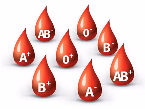 Người có nhóm máu O sẽ giảm được 35% khả năng tái phát ung thư tiền liệt tuyến. Ảnh minh họa.