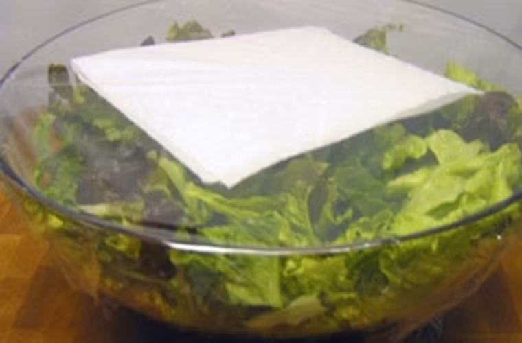 Bảo quản đúng cách bằng cách cho vào tủ lạnh. Đối với loại mọng nước như rau diếp, dưa chuột, bầu,… cần bọc một lớp ni lông bên ngoài để tránh mất nước, khô héo.