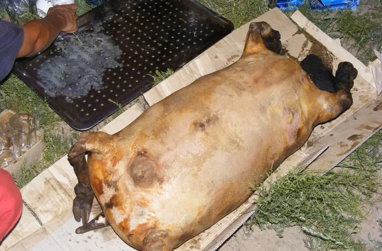 Nguyên liệu chính của Boodog là những con bò hoặc cừu nuôi được trong trang trại. Điều đặc biệt là người ta không làm thịt bò, cừu bằng cách cắt tiết rồi mổ nội tạng.