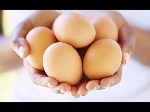 16:09 Bác sĩ Mỹ tiết lộ: Bí mật dinh dưỡng và cách ăn trứng gà tốt nhất nhiều người chưa biết Cuộc Sống Hạnh Phúc 240K views Chả Giò - Bí quyết làm Chả Giò Bánh Tráng Việt Nam - Vietnamese Springrolls giòn rụm by Vanh Khuyen Vành Khuyên Lê 2.8M views 60 TUỔI VẪN GIỮ ĐƯỢC LÀN DA SÁNG MỊN NHƯ ĐÔI MƯƠI NHỜ BIẾT BÍ QUYẾT NÀY Kiến Thức Khoa Học Về Sức Khỏe 189K views Công Dụng Của Rượu Tỏi: Thần Dược Có Tác Dụng Chữa Bệnh Hàng Nghìn Năm Tuổi - Ngọc Hân Bùi Ngọc Hân Bùi 3.8M views Còn Uống Bột Sắn Dây Nhất Định Phải Xem Video Này Kẻo Hối Hận Cả Đời Chữa Dứt Điểm Recommended for you 6 Thực phẩm tuyệt đối không nên ăn với trứng Sống Khỏe Online 229K views Biết Sớm Thì Đỡ Quá Uống Mật Ong Mỗi Tối Điều Thần Kỳ Sẽ Xảy Ra Khiến Cả Triệu Người Bất Ngờ Thực Phẩm Và Sức Khỏe Recommended for you Quan niệm SAI LẦM trong việc ăn uống mà ai cũng mắc phải - Ngô Đức Vượng Giác Ngộ 685K views Loại Cây Quý Hơn Vàng Mọc Đầy Ven Đường 100 Người Thì 99 Người Không Biết Công Dụng Trời Cho Của Nó Mãi Khỏe Đẹp 2M views Chết Sớm Hơn Cả Ung Thư Vì Ăn Cam Vào Thời Điểm Này Cần Bỏ Ngay Lập Tức Kẻo Hối Chẳng Kịp Mãi Khỏe Đẹp Recommended for you Chết Ngay Tức Khắc Nếu Những Người Này Còn Ăn Tỏi - Xem Ngay Kẻo Hối Hận Không Kịp Mẹo Chữa Bệnh 1.3M views Trước khi CHẾT con người nhìn thấy gì và sẽ ĐI VỀ ĐÂU sau khi đã chết? Pháp Thoại Hoằng Pháp 588K views SHOW MORE 10 lợi ích tuyệt vời khi ăn trứng gà vào bữa sáng 