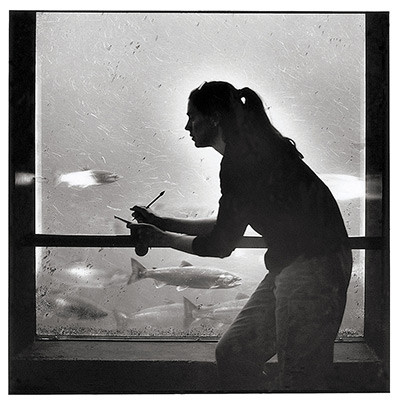 Nghề đếm cá của Julie Booker (Seattle, Washington) đóng vai trò quan trọng trong việc giúp chính quyền quyết định sản lượng đánh cá trong khu vực.