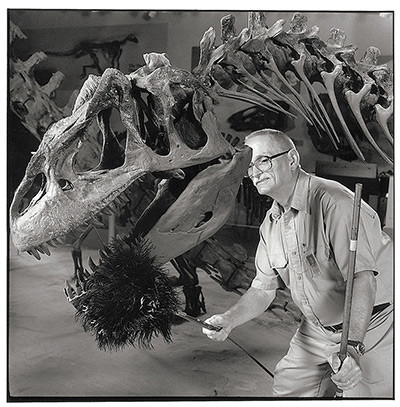 Hơn 30 năm nay, ông Frank Braisted thường xuyên lau bụi cho bộ xương khủng long 145 triệu năm tuổi này. Tuy nhiên, ông chưa bao giờ tận tay động vào bộ xương.