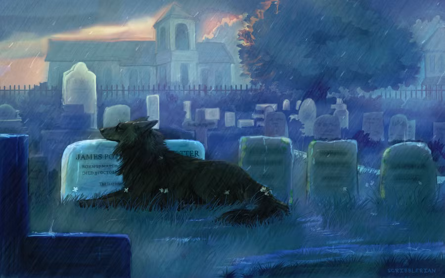 Trong huyền thoại ở Anh, con chó ma Padfoot là hiện thân của sự chết chóc. Nó có hình dáng giống một con chó đen khổng lồ, có khả năng tàng hình và thay đổi hình dạng mang theo những chuỗi âm thanh đáng sợ khi xuất hiện. Ảnh: The Harry Potter Lexicon.