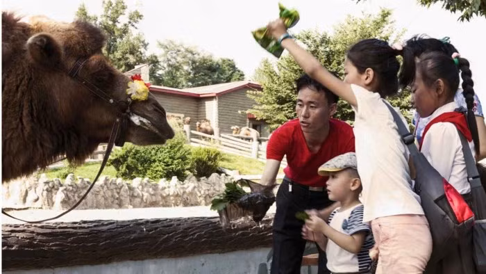 Loạt ảnh hiếm về cảnh 'ăn chơi' hằng ngày ở Triều Tiên - Ảnh 6