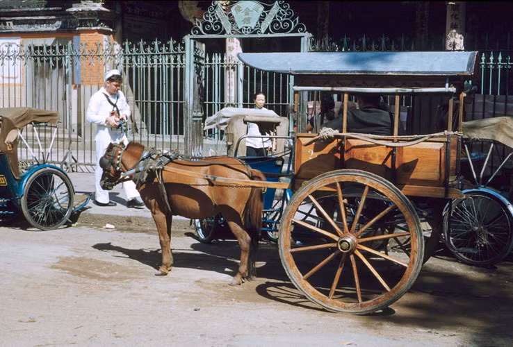 Xe thổ mộ bên ngoài hội quán Ôn Lăng, Sài Gòn năm 1954. Có người cho rằng, gọi như vậy là vì chiếc xe nhìn từ xa trông khum khum như... ngôi mộ. Ảnh tư liệu.