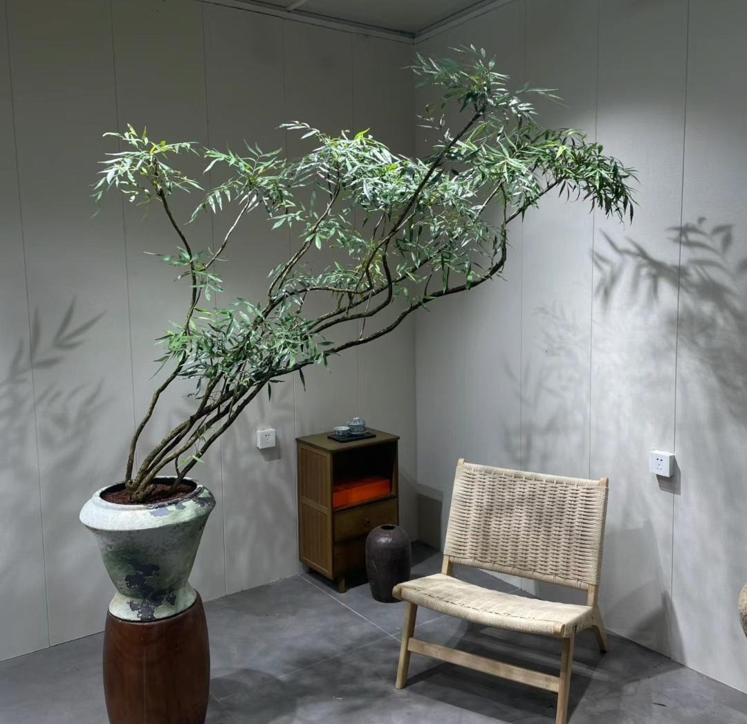 Mua he, trong 9 cay canh dieu hoa khong khi, mat lanh-Hinh-3