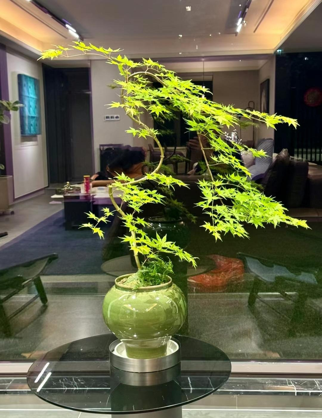 Mua he, trong 9 cay canh dieu hoa khong khi, mat lanh-Hinh-4