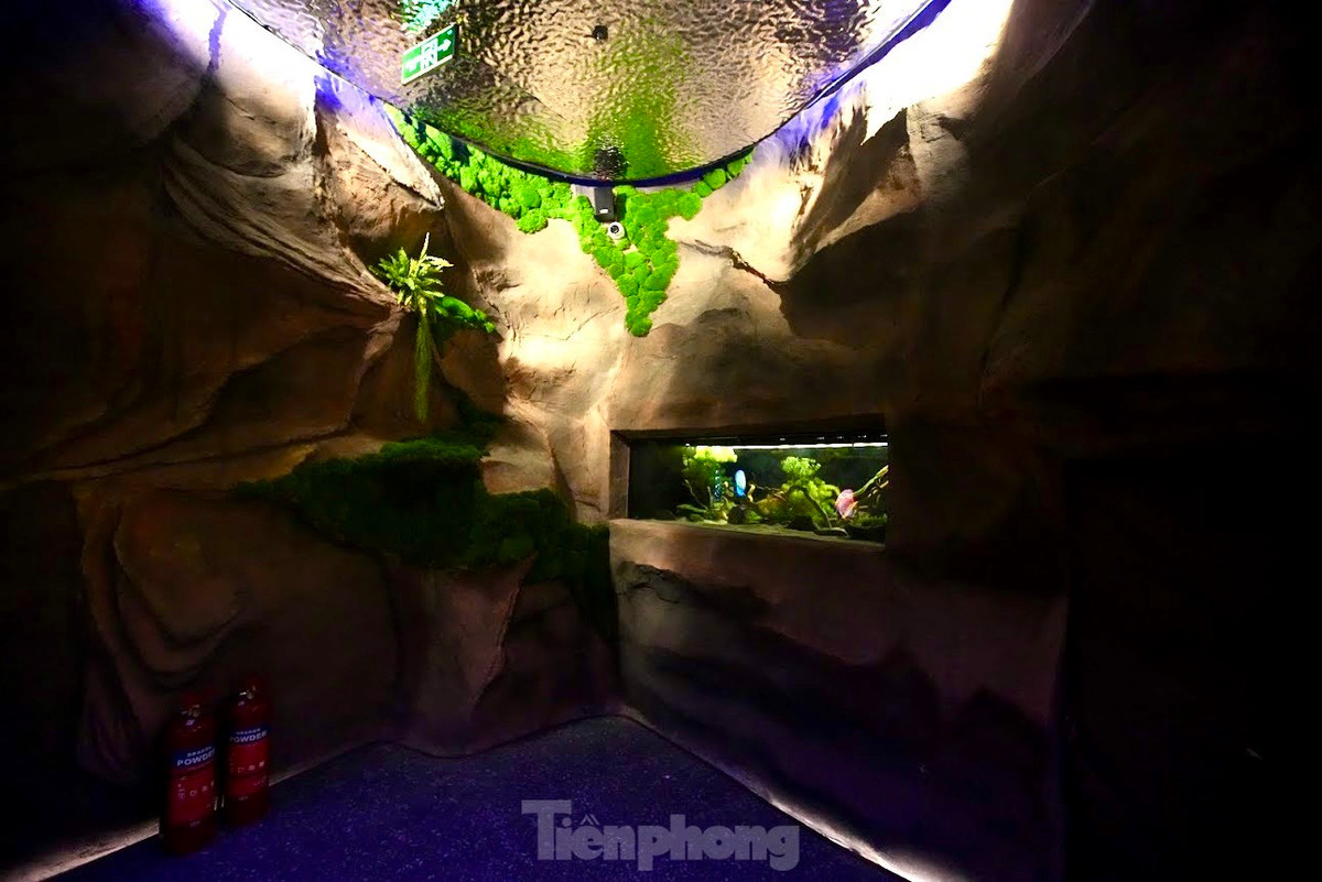 Xep hang kham pha 'thuy cung khong nuoc' tai Ha Noi-Hinh-2