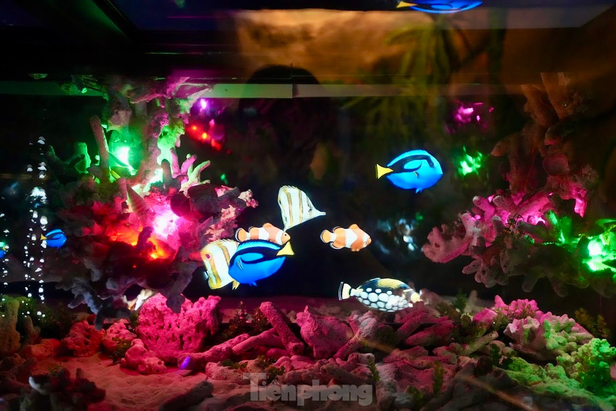 Xep hang kham pha 'thuy cung khong nuoc' tai Ha Noi-Hinh-5