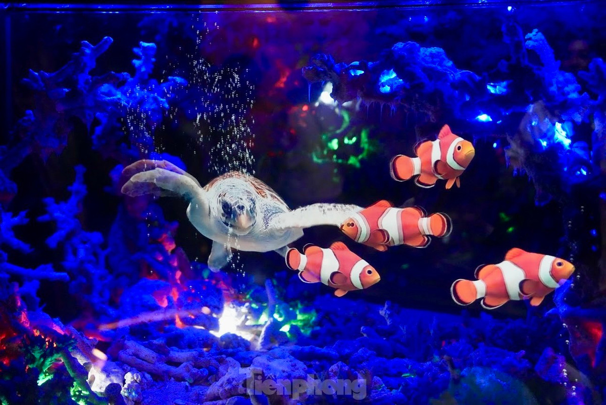 Xep hang kham pha 'thuy cung khong nuoc' tai Ha Noi-Hinh-6