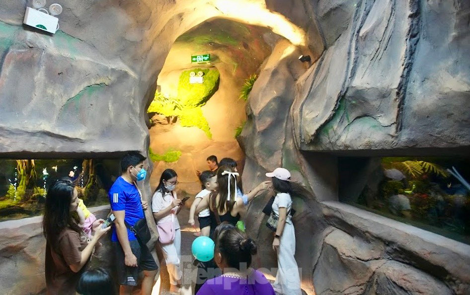 Xep hang kham pha 'thuy cung khong nuoc' tai Ha Noi-Hinh-14