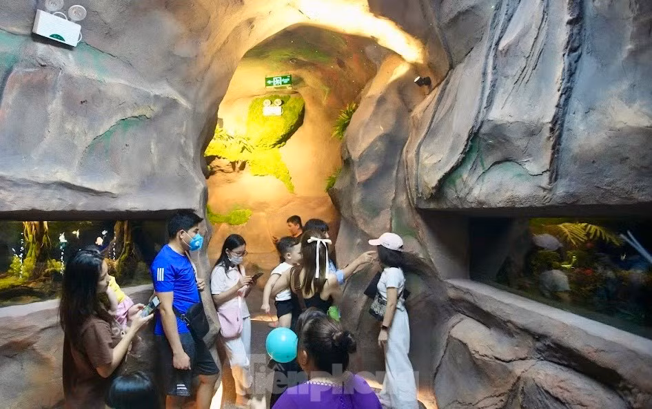 Xep hang kham pha 'thuy cung khong nuoc' tai Ha Noi-Hinh-14