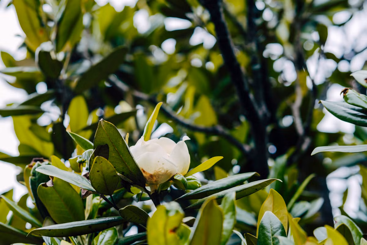 Ngôi chùa cổ gần 700 năm tuổi có cả hầm, địa đạo - Hình 6 Ngoi chua co gan 700 nam tuoi co ca ham, dia dao-Hinh-6