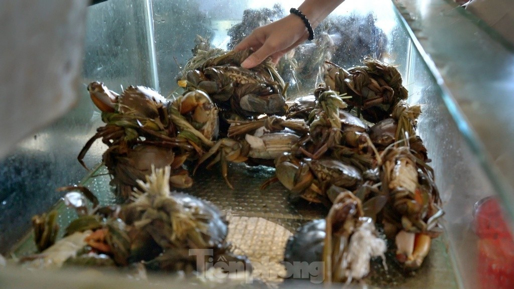 'Tuyet tinh coc' huyen ao tren vinh Lang Co-Hinh-9