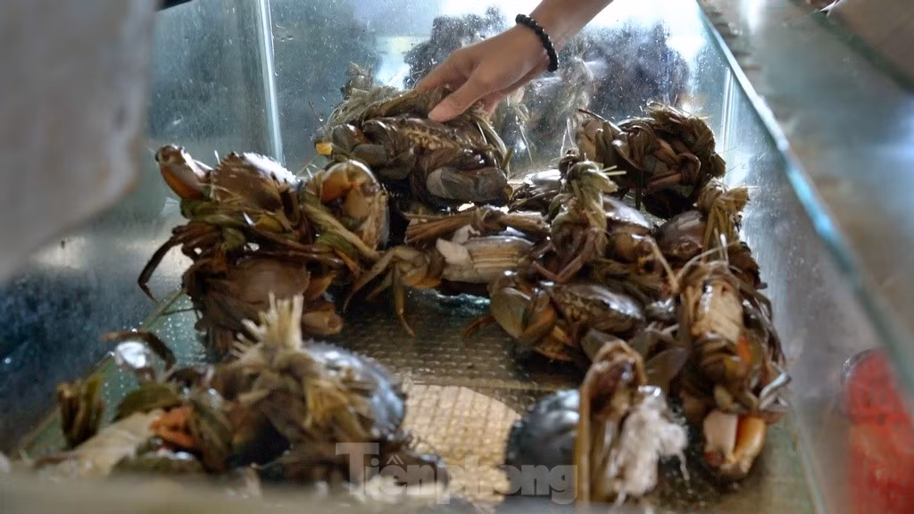 'Tuyet tinh coc' huyen ao tren vinh Lang Co-Hinh-9